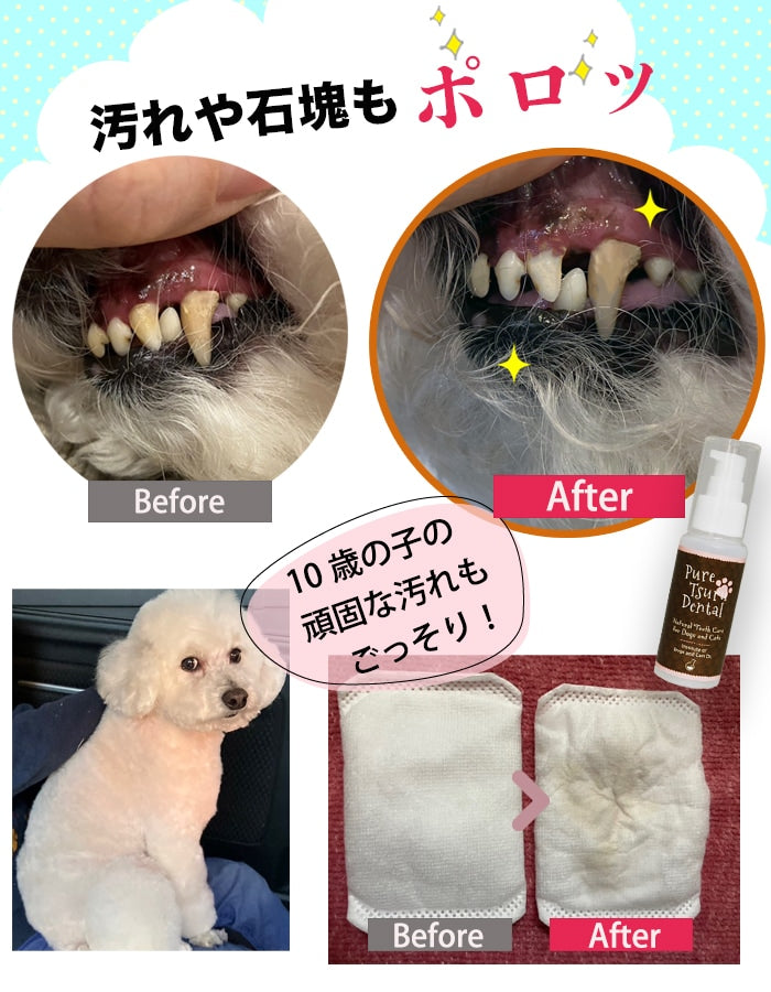 獣医推薦愛犬愛猫の歯垢歯石歯周病が塗るダケでツルツルな歯に!安心安全な100%天然由来!歯磨ジェル ピュアツルデンタル60m