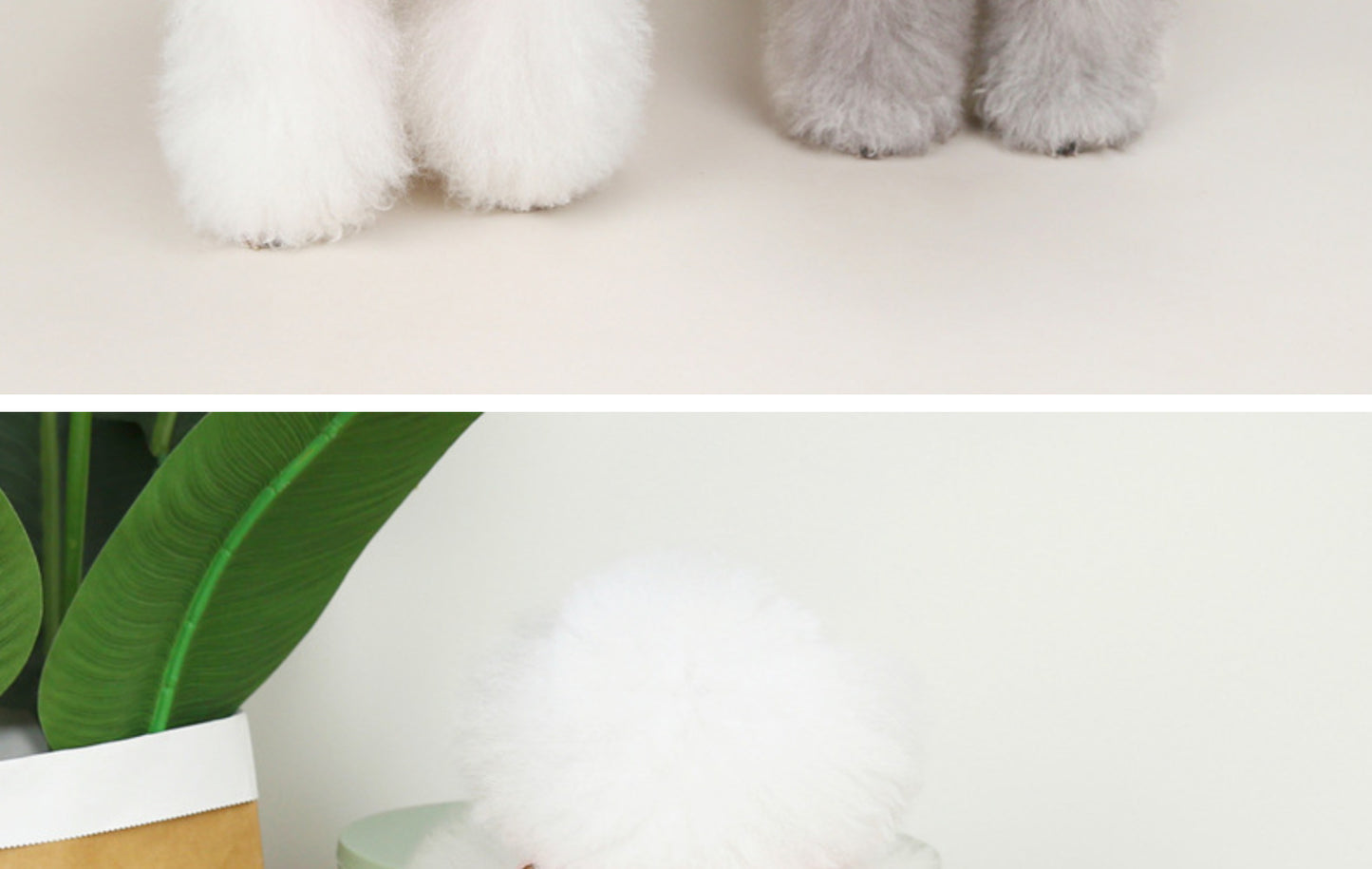 猫 犬 洋服 犬服 ペット服 大中小型犬 ペット用品 犬/猫用 犬の服 ペットウエア 小型犬 中型犬 通気 可愛い ドッグウェア トレーナー 犬 服 ワンピース サロペット ビションフリーゼ 犬猫服