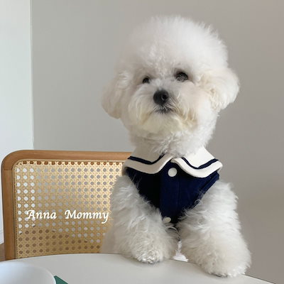 2025新作春秋 ペット服/犬猫服 犬 洋服/犬用品 /小中型犬 春夏ペット服 犬服 服装 猫服 かわいい
