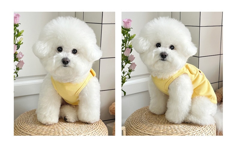 犬服2025 ペットウェア 新作ペット犬猫服テディビションプードルリーシャブルワッフルベスト