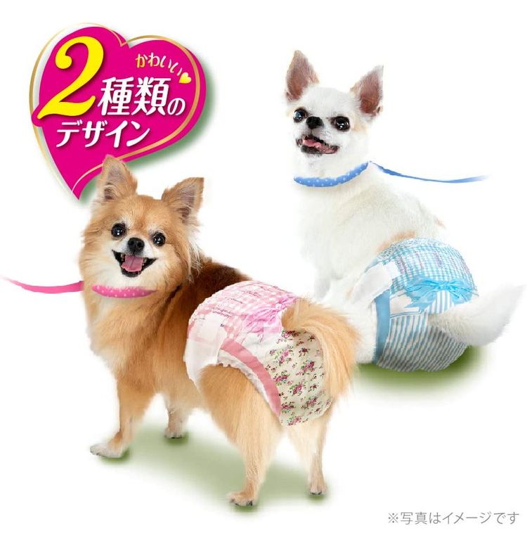 <a href="https://www.qoo10.jp/gmkt.inc/Search/brand.aspx?brandno=18151" target="_blank" class="title_brand" id="btn_brand" title="ユニ・チャーム">ユニ・チャーム</a>【4個セット】ユニチャーム マナーウェア 女の子用 SSSサイズ 42枚x4 超小型犬用 犬用おむつ マナーおむつ ペット用 まとめ売り セット売り まとめ買い