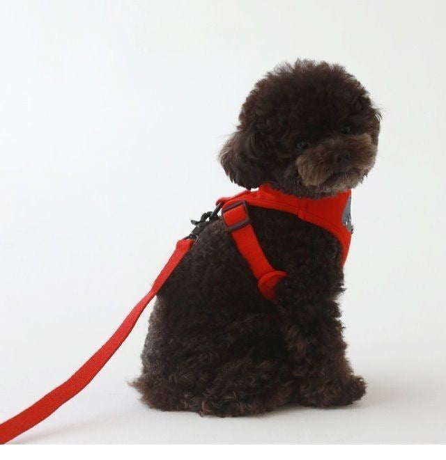 韓国版の中で小型の犬のテディは熊のコーキに比べて外出して犬を散歩します メガ割ワンピースパンツトートバッグ