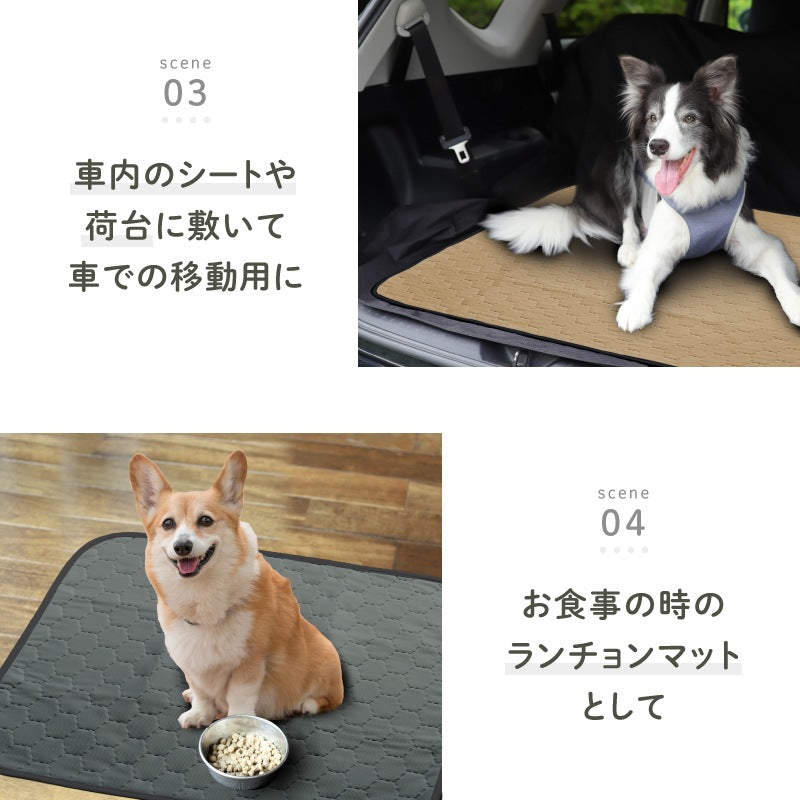 <a href="https://www.qoo10.jp/gmkt.inc/Search/brand.aspx?brandno=117010" target="_blank" class="title_brand" id="btn_brand" title="LASIEM">LASIEM</a>【発送3日以内】洗える ペットシーツ 2枚セット 犬 猫 犬用 ペットマット トイレシート おしっこシート 介護 ペットマット 食事マット 防水 おしっこパッド マット 滑り止め 介護シーツ 漏れ防止