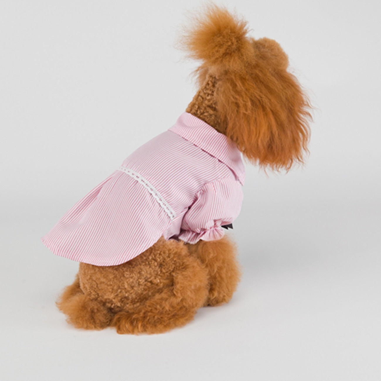 猫 犬 洋服 犬服 ペット服 大中小型犬 ペット用品 犬/猫用 犬の服 ペットウエア 小型犬 中型犬 通気 可愛い ドッグウェア トレーナー 犬 服 ワンピース サロペット ビションフリーゼ 犬猫服