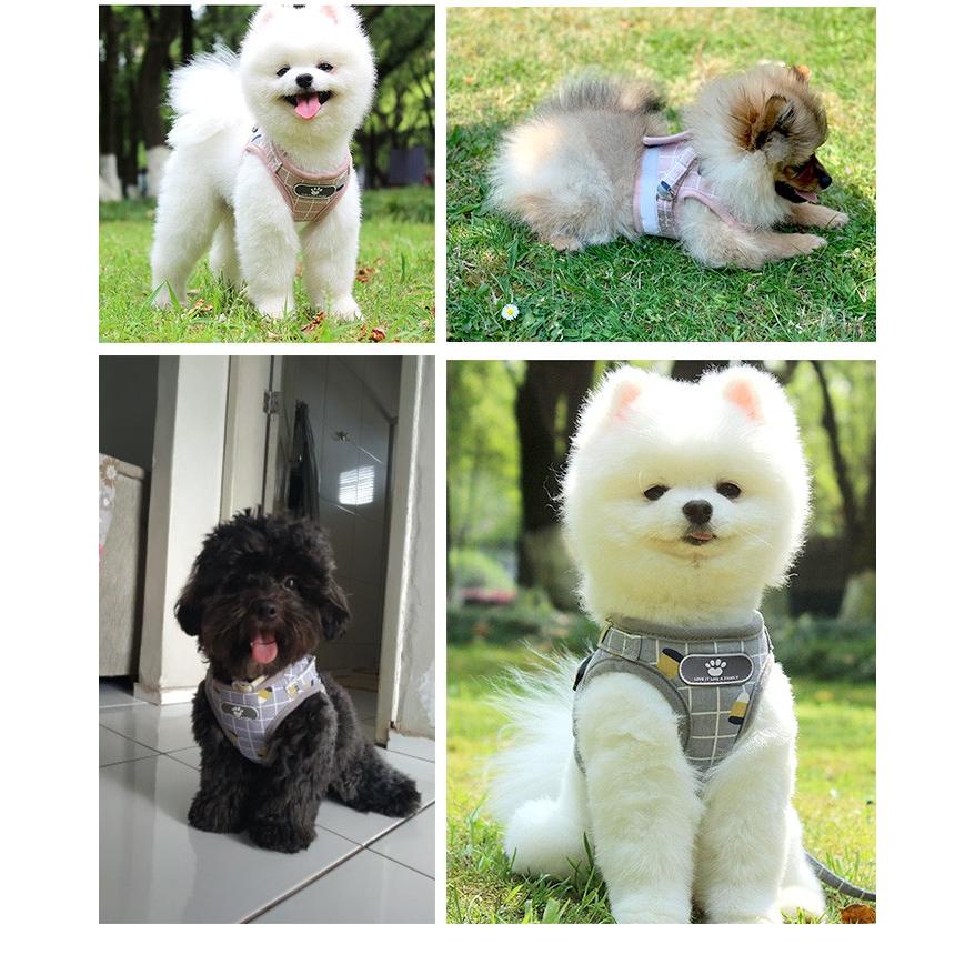 猫 メッシュ ドッグ ウェアハーネス キャット ペット ハーネス 服 リード付 胴輪 犬