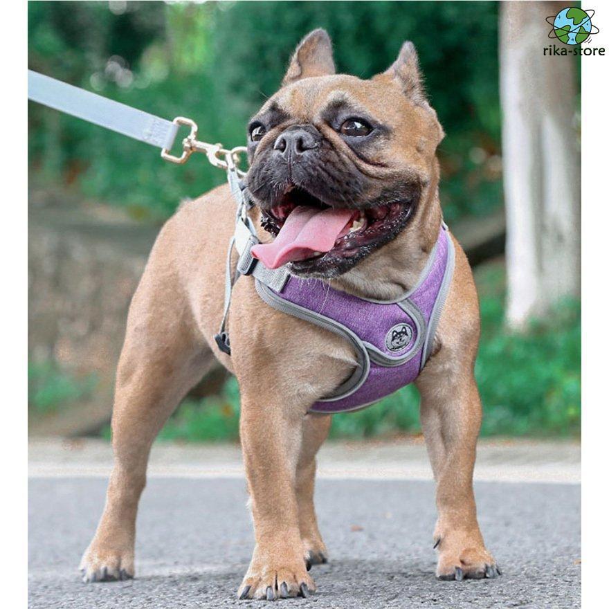 リード 大型犬 反射素材 中型犬 ハーネス リフレクター付き サイズ調整可 負担軽減 2点セット 衝撃緩和 通気性 丈夫 小型犬 かっこいい 頑丈 犬用