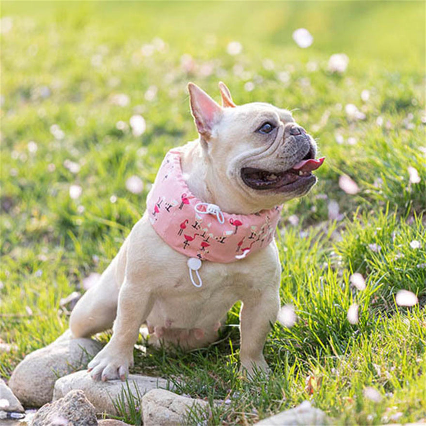 <a href="https://www.qoo10.jp/gmkt.inc/Search/brand.aspx?brandno=137296" target="_blank" class="title_brand" id="btn_brand" title="MAIBED">MAIBED</a>犬用 ネッククーラー ひんやり クール 熱中症対策 暑さ 保冷剤 冷却 夏 散歩 お出かけ アウトドア 屋外 首冷やす