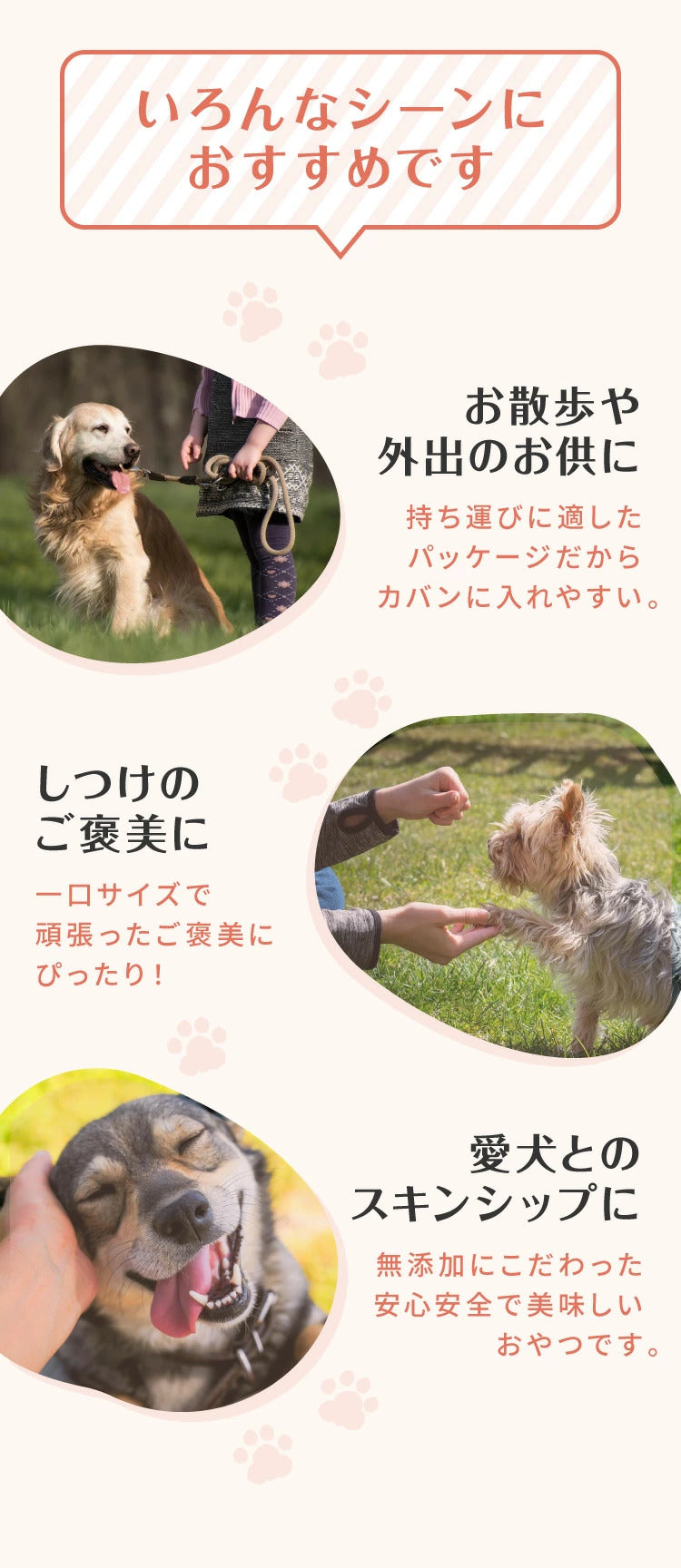 【お魚4点セット】 犬用 おやつ 食べ切りサイズ 無添加 お魚 日本製 国産 犬用おやつ ご飯 ご褒美 トリーツ トッピング 素材系 魚 mimipets オリジナル 犬 小型犬 室内犬 ペット(代引