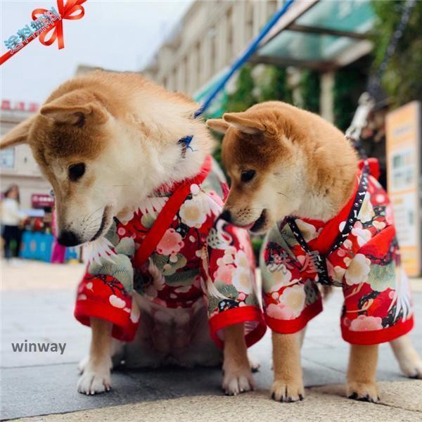 和柄 犬 服 トップス 犬の服 あったか 秋 冬 超小型犬 小型犬 中型犬 猫 ペット 犬用 お散歩 可愛い メール便