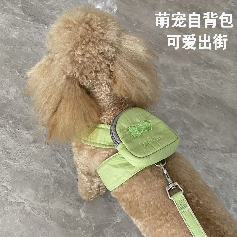 かわいいペットの犬はバックパックから散歩に出かけます