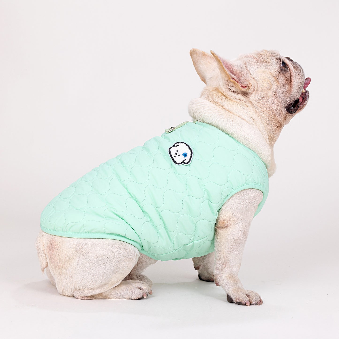 人気ペット服 犬の服 ペットの服 秋冬 ブルドッグモデル ブルドッグ 4色 コットンベスト