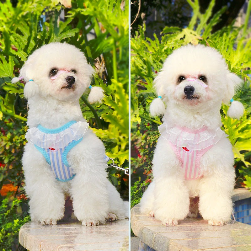 ネコ用ハーネス 犬 リード 60 お散歩 簡単装着 シンプル 小型犬 ペットハーネス 猫用 犬用 犬用ハーネス リーシュ ハーネスリードセット 軽量 ペット用品 2点セット おしゃれ 胴輪 中型犬 お