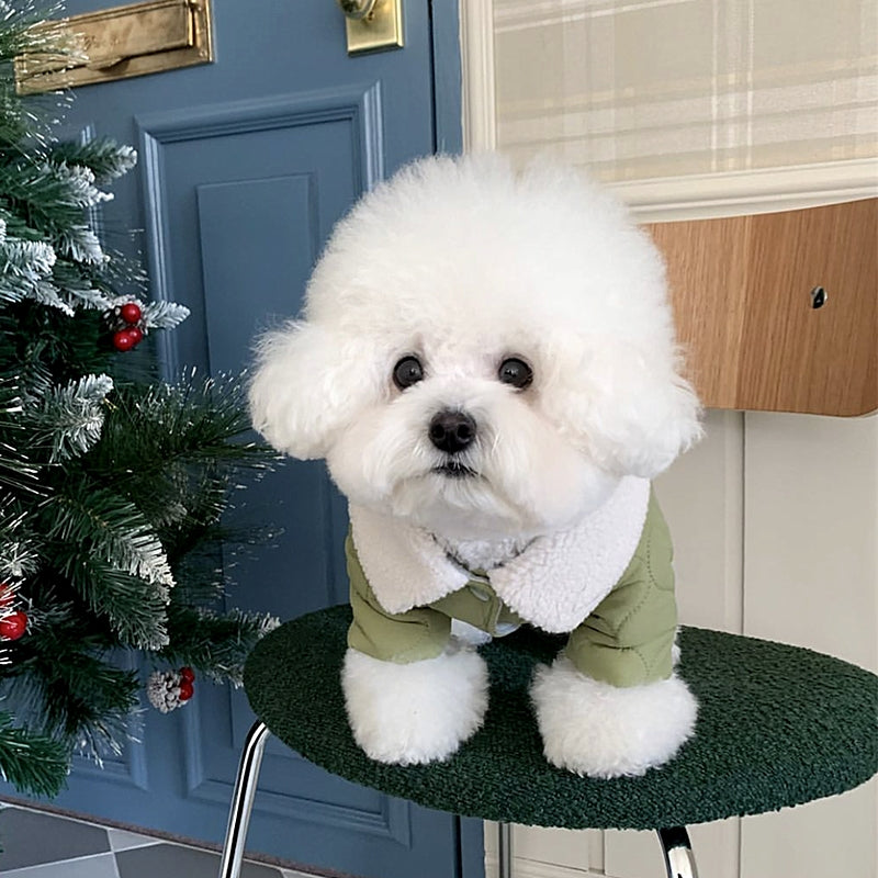 ペット服 犬の服 犬猫服 テディビーベア ヨークシャー 小中型犬 服 快適 ペット用品 犬用品 散歩 防寒 秋冬服