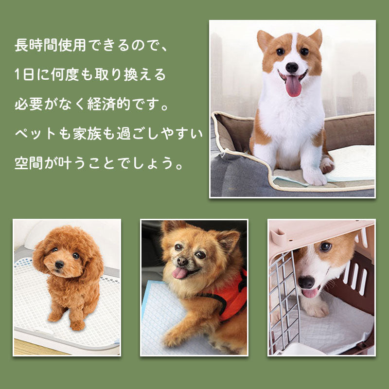 3日以内に出荷 明日まで値下げ ペットシーツ 薄型 ワイド スーパーワイド ペット用品 トイレシート 100枚 50枚 スピード吸収 ねこ うさぎ モルモット 使い捨て 期間限定オファー
