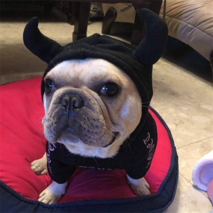 犬 服 デビル ハロウィン コスプレ フレブル服 裏起毛パーカー フレンチブルドッグ ペットウェア