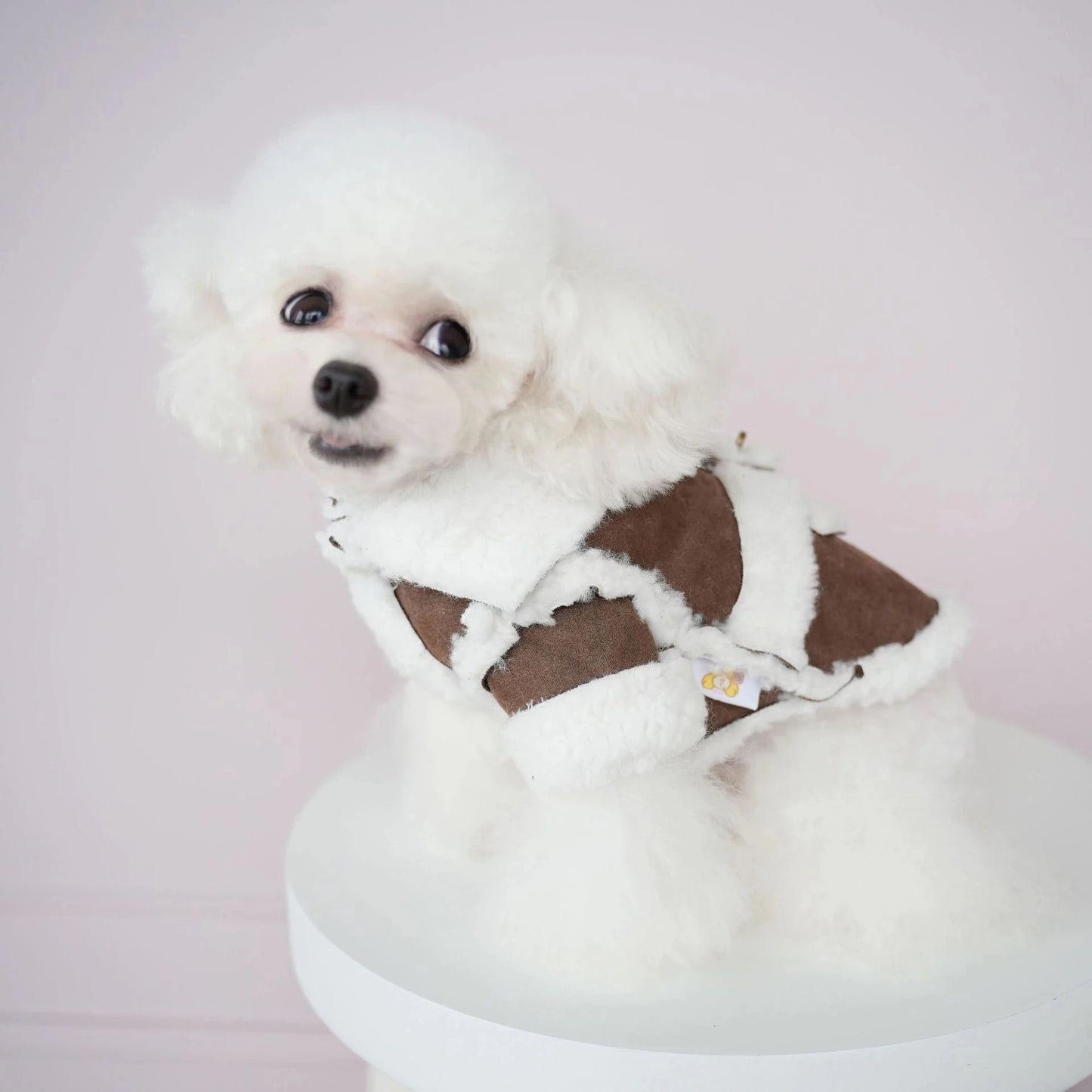 犬服新しいペットの服イミテーションスエードワンピースコットンコートソフト快適な冬のコートプードル二本足の服