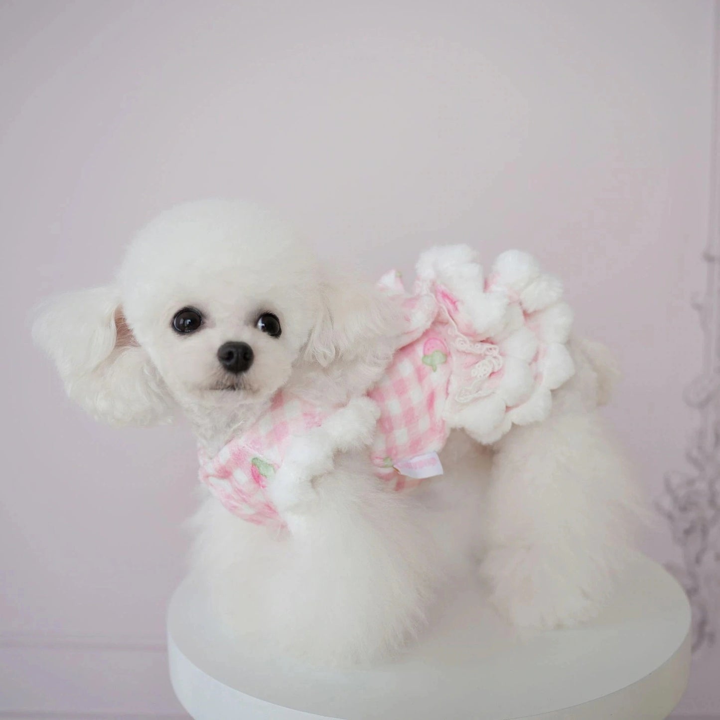 犬服秋冬新作 犬服 チェック柄 くま いちご スカート 猫 かわいい あったか スカート