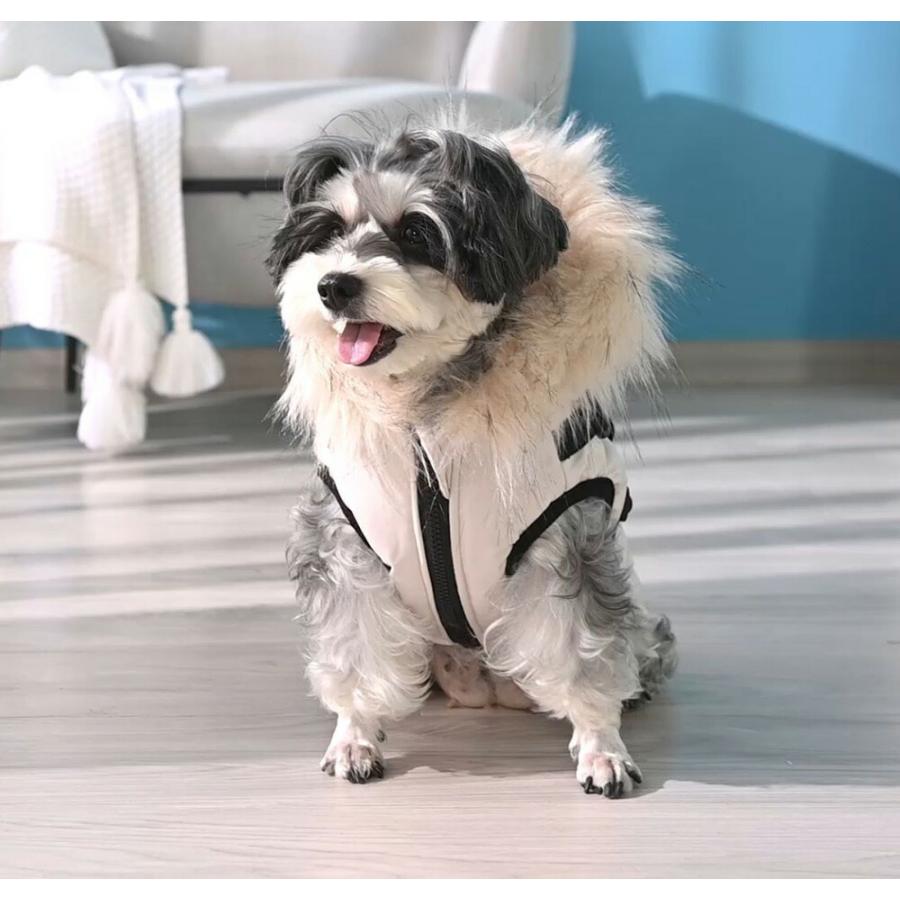 ジャンパー お出かけ ジャケット フード付き 裏ボア 中型犬 小型犬 中綿入り ハーネス一体型 犬 冬服 おしゃれ あったか 犬服 秋冬 ハーネス付き 犬 防寒 コート