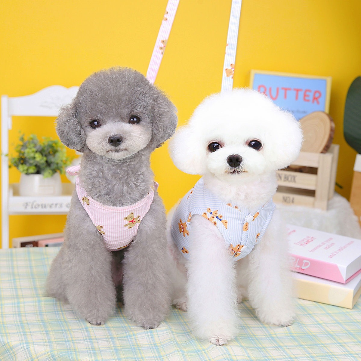 熊カップルペット猫テディ比熊犬服ベスト幼犬胸帯薄い夏牽引ロープ メガ割ワンピースパンツトートバッグ