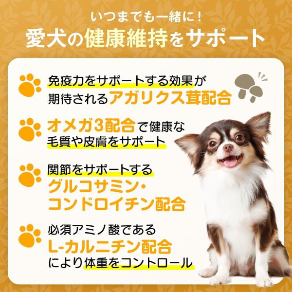 LOT PREMIER ロットプレミア チキン&アガリクス 全犬種 高齢犬7才以上 小粒 500g ドッグフード