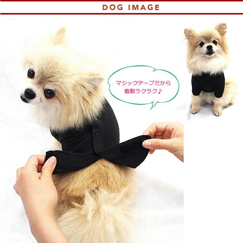 <a href="https://www.qoo10.jp/gmkt.inc/Search/brand.aspx?brandno=125763" target="_blank" class="title_brand" id="btn_brand" title="Coo Couture">Coo Couture</a>SWDテラヘルツワンベルクロTシャツペット介護 犬用ペットウェア 中型犬 大型犬 犬服 テラヘルツワン クークチュール 2メ-3運 12137 【T】