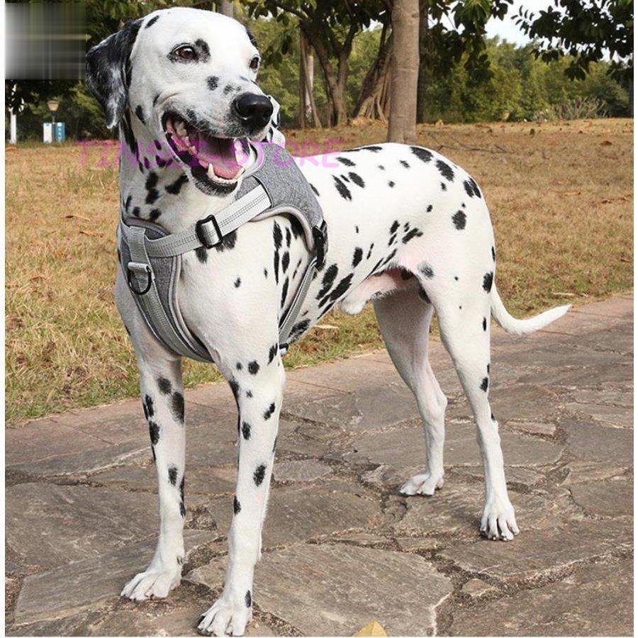 大型犬 小型犬 ドッグ ペットハーネス メッシュ ウェアハーネス メッシュ素材 おしゃれ 犬用 キャ1577