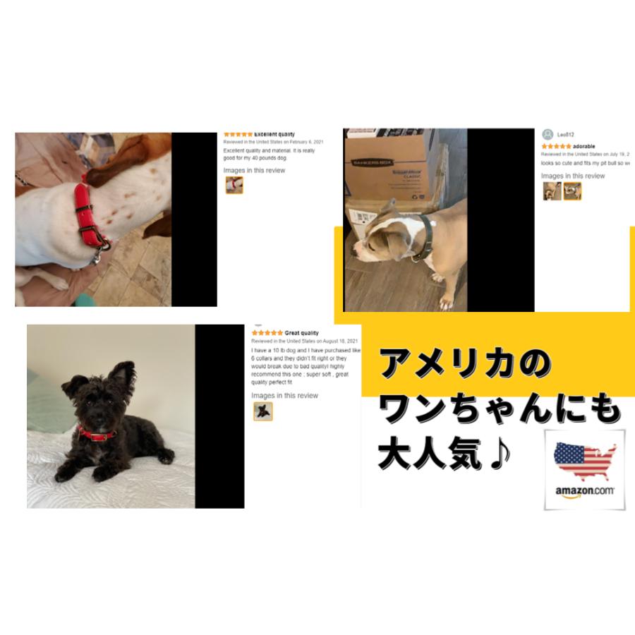 犬用品 かわいい いぬ 犬の首輪 首輪 柴犬 Mサイズ おしゃれ 毛挟まれ防止 犬 中型犬 革 くびわ 送料無料 ベーシック 犬首輪 ボーナスストア対象