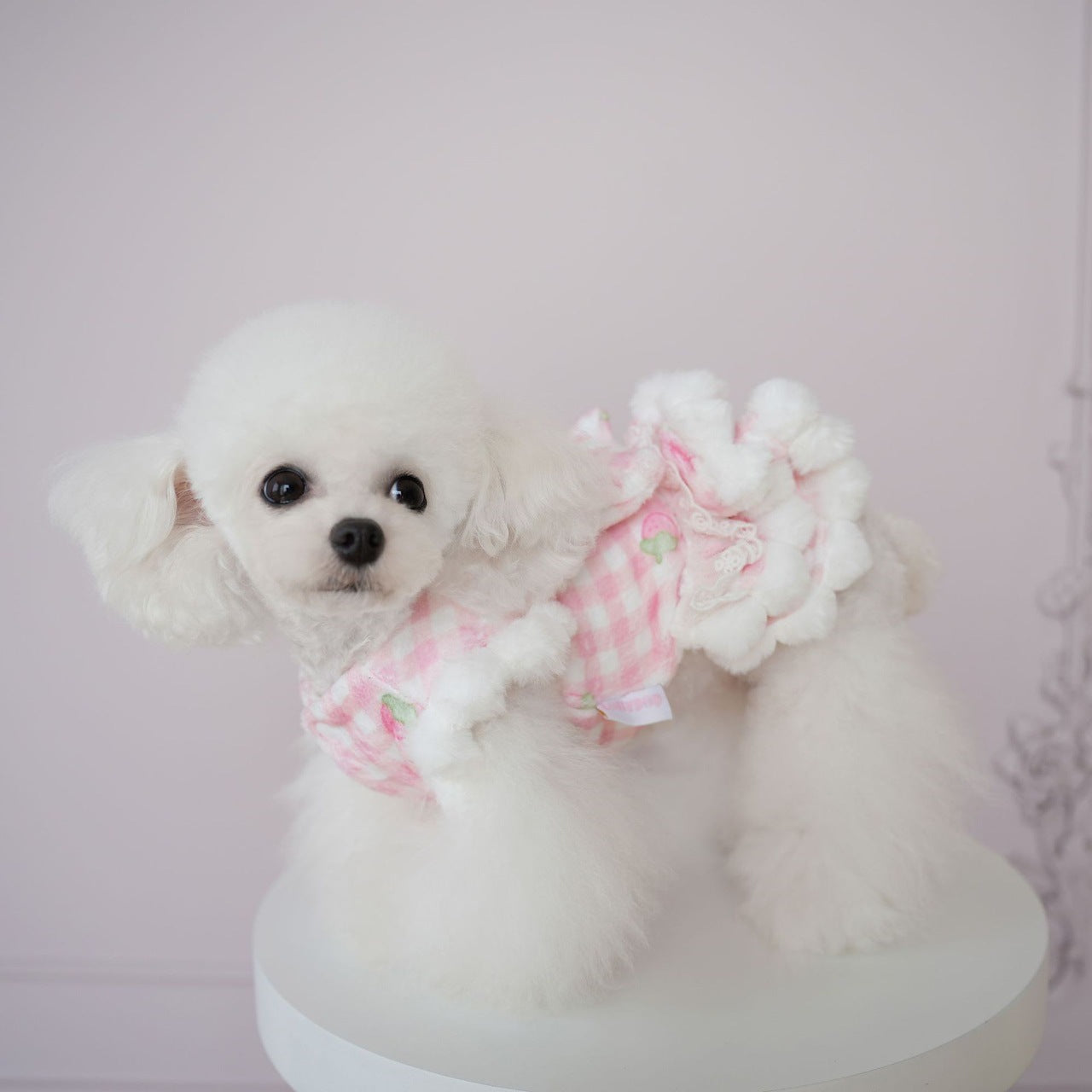 犬服秋冬新作 犬服 チェック柄 くま いちご スカート 猫 かわいい あったか スカート
