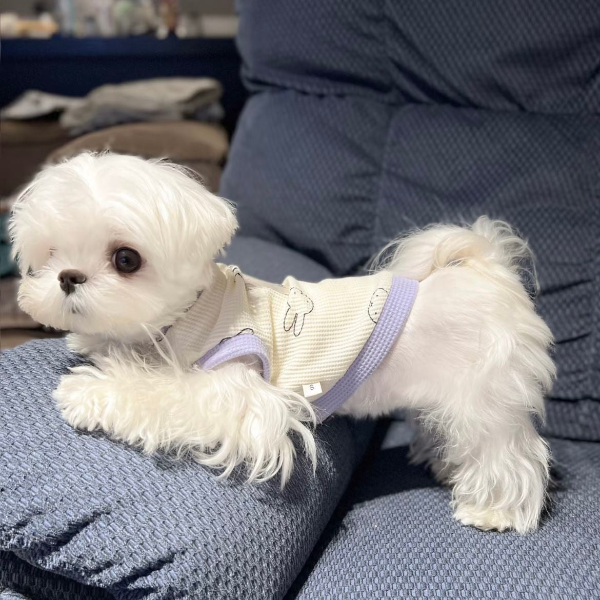 春と夏薄型犬ペット服小型犬テディマルチーズ抗脱毛カラーブロックベスト