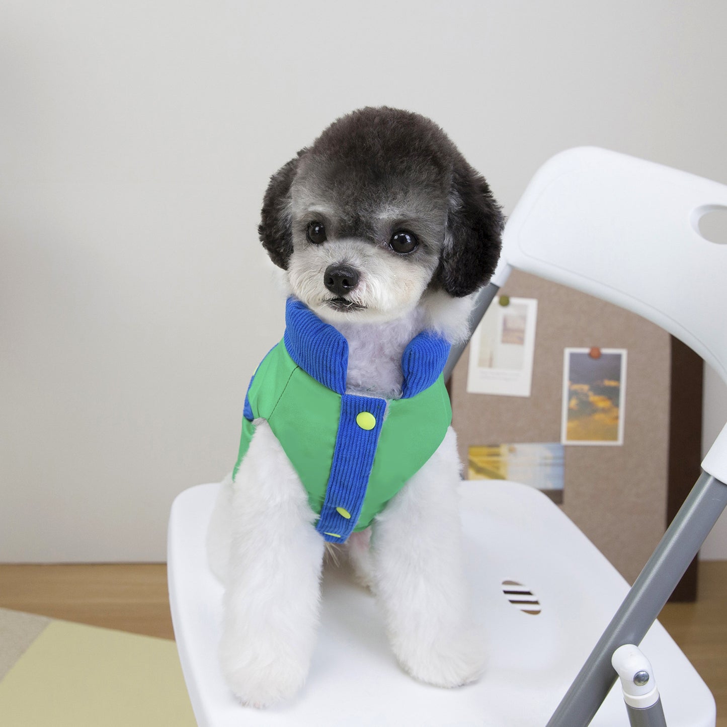 猫 犬 洋服 犬服 ペット服 大中小型犬 ペット用品 犬/猫用 犬の服 ペットウエア 小型犬 中型犬 通気 可愛い ドッグウェア トレーナー 犬 服 ワンピース サロペット ビションフリーゼ 犬猫服