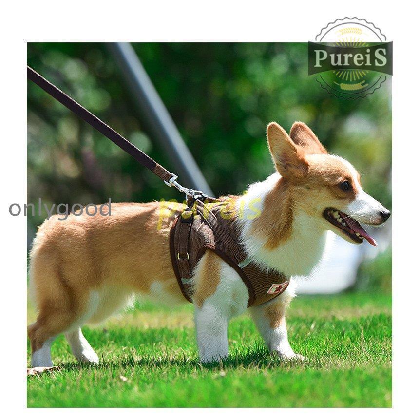 2-5日出荷 新品推奨 犬 ハーネス リード付 ペット服 ウェアハーネス 胴輪 キャット ドッグ メッシュ 一体型 胸あて式 軽量 調節可能 犬用 小型犬 ペット用品 猫用首輪 猫/犬 可愛い ポイン