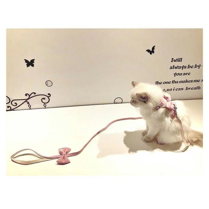 新商品プロモーション,数量限定 猫 犬 ハーネス リード ペット 服 リボン フラワー ウェアハーネス 胴輪 キャット ドッグ メッシュ猫 犬