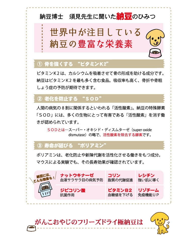 <a href="https://www.qoo10.jp/gmkt.inc/Search/brand.aspx?brandno=117154" target="_blank" class="title_brand" id="btn_brand" title="がんこおやじのおやつ亭">がんこおやじのおやつ亭</a>フリーズドライ極納豆 30g 5袋セット 追跡可能メール便