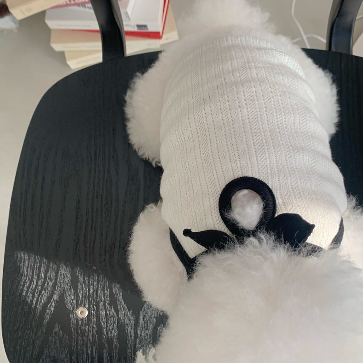 春夏新作 犬服 ペット服 犬 洋服 ペット 犬用品 小中型犬 春夏薄手犬服猫小型犬キャミソールベスト