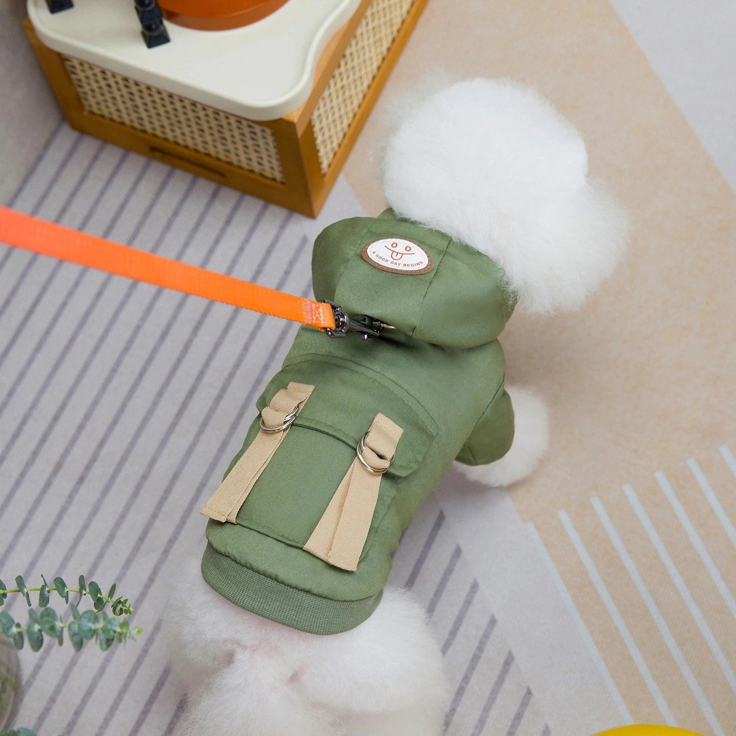 人気犬の服ペットの服小型犬猫は涼しい風に代わって秋と冬の暖かい快適さを着ることができる二本足の綿のジャケット