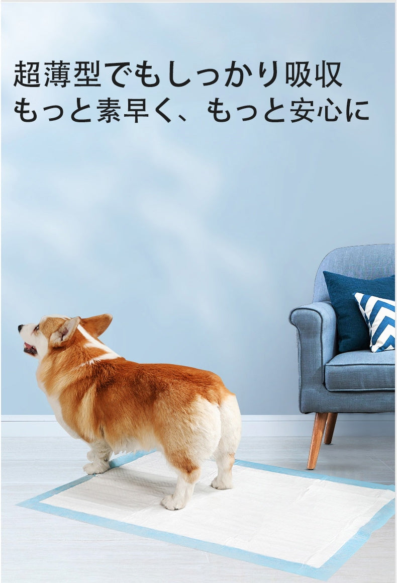<a href="https://www.qoo10.jp/gmkt.inc/Search/brand.aspx?brandno=109151" target="_blank" class="title_brand" id="btn_brand" title="Honeycare">Honeycare</a>ペットシーツ 超薄型 ペットシート犬猫 サイズ選択可 レギュラー800枚 ワイド400枚 スーパーワイド200枚