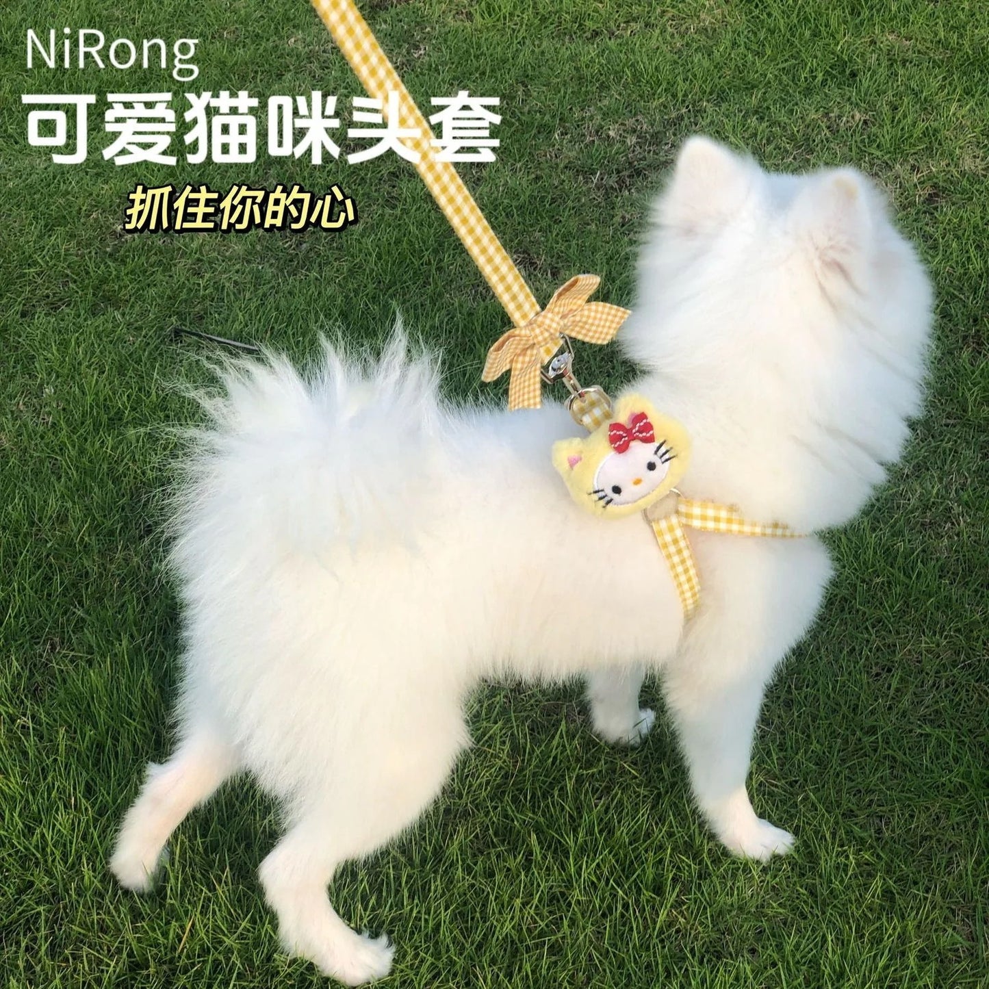 メガ割犬牽引ロープベスト式アニメ屋外散歩犬牽引ロープ小型中型犬犬チェーン犬ロープテディ博美973