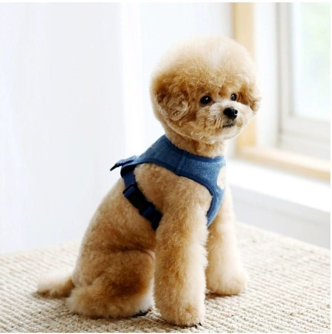 韓国版の中で小型の犬のテディは熊のコーキに比べて外出して犬を散歩します メガ割ワンピースパンツトートバッグ