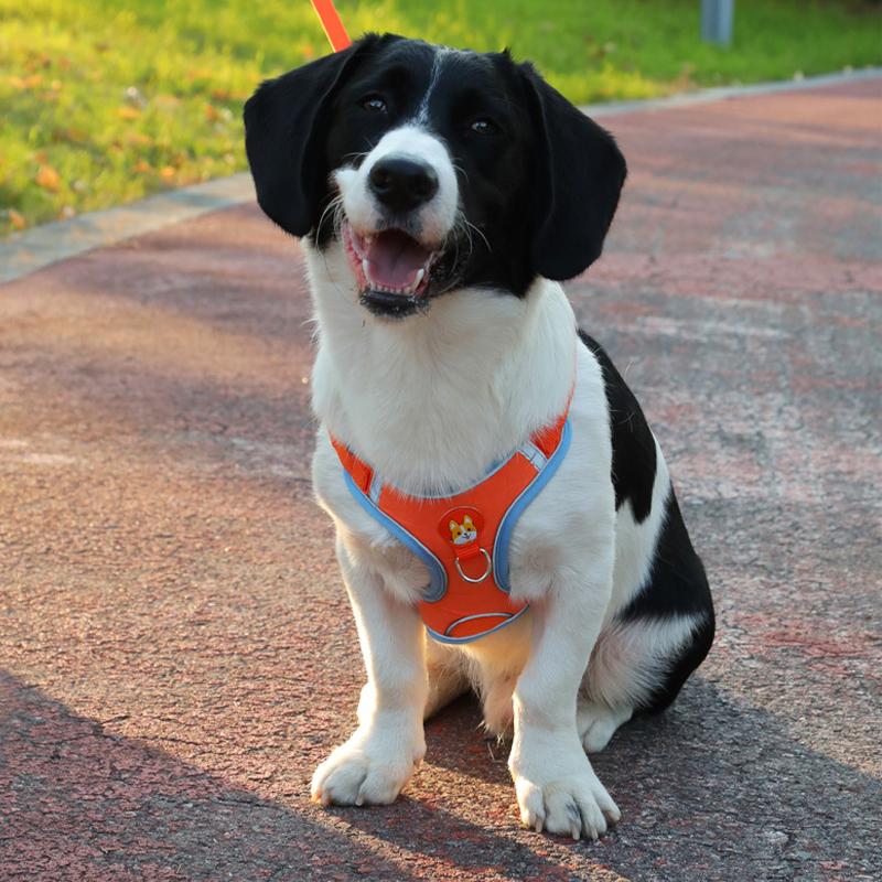 新商品プロモーション,数量限定 犬 ハーネス 犬用ハーネス リード付き ペット用 胴輪 小型犬 中型犬 大型犬 反射 簡単装着 可愛い 抜けない 柔らかい ペット用ハーネス犬 ハーネス