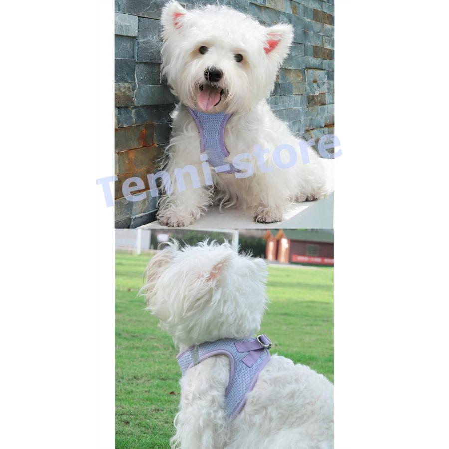 今週の新製品 タイムセール アウトレット 犬 猫 ハーネス 小型犬 中型犬 猫用 ネコ ウェアハーネス ハーネス&リードセット 犬ハーネス 抜けない 一体型 かわいい 簡単着脱 在庫が限られている在庫