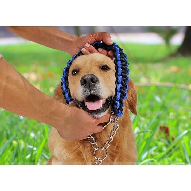 首輪 リード 2点セット 犬用 ペット用 ハーフチョーク リーシュ 1.2m 1.5m チェーン 牽引綱 シンプル お散歩 お出掛け ペット用品 ペッ
