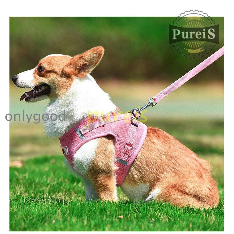 2-5日出荷 新品推奨 犬 ハーネス リード付 ペット服 ウェアハーネス 胴輪 キャット ドッグ メッシュ 一体型 胸あて式 軽量 調節可能 犬用 小型犬 ペット用品 猫用首輪 猫/犬 可愛い ポイン