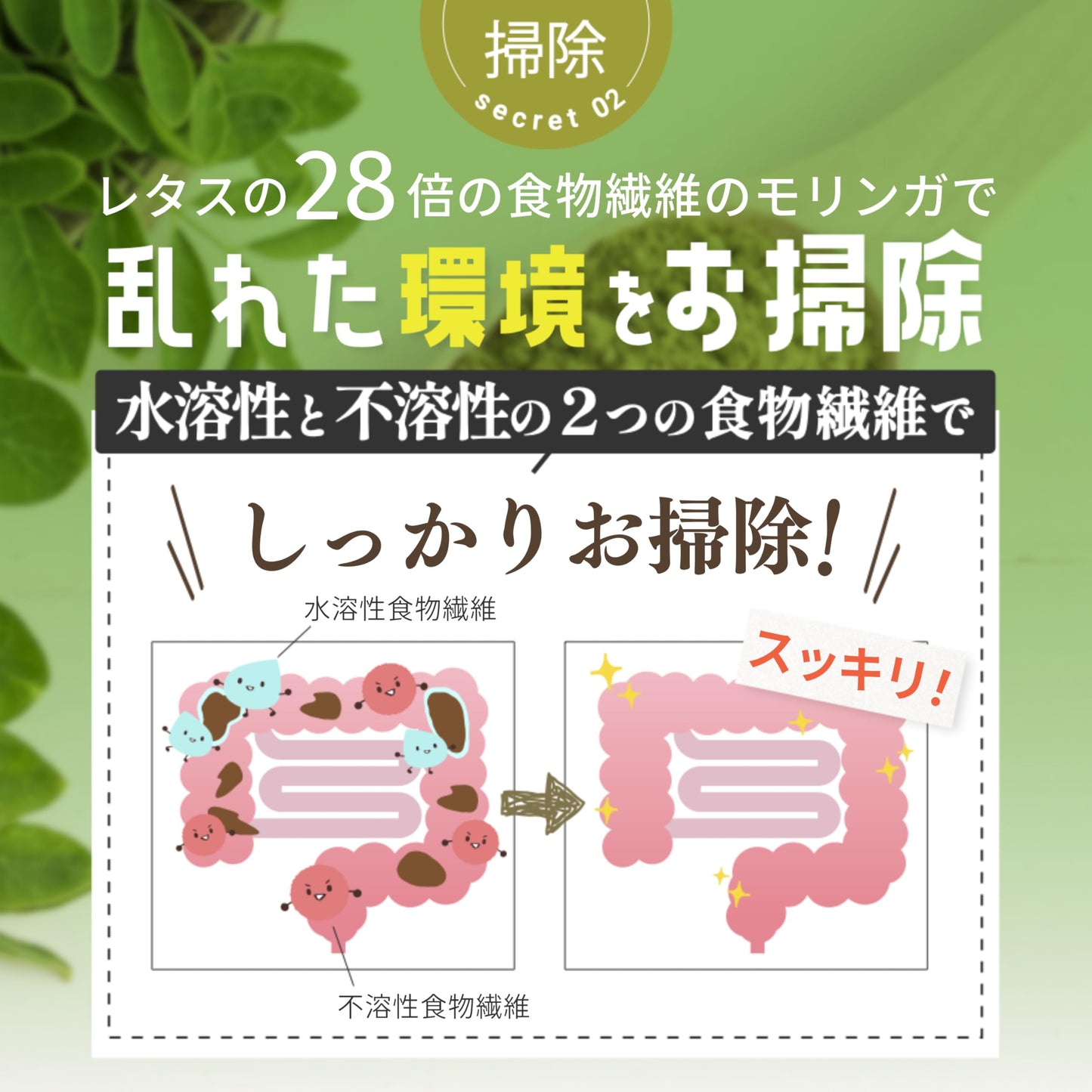 【獣医師監修】 あいこな 犬 サプリ 腸活 腸内環境 整腸 皮膚 お腹の健康維持 犬 猫 乳酸菌 モリンガ 食物繊維 酵素 サプリメント 60g