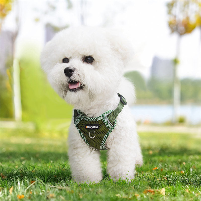 犬ハーネスリードセット 4カラー 抜けない メッシュ素材 着脱簡単 春夏用最適 2023新品 蒸れない 通気性抜群