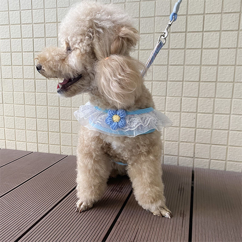 犬の牽引紐レースの胸の帯のテディ比熊の小型犬の牽引犬の縄は犬のひもの犬のチェーンを散歩します