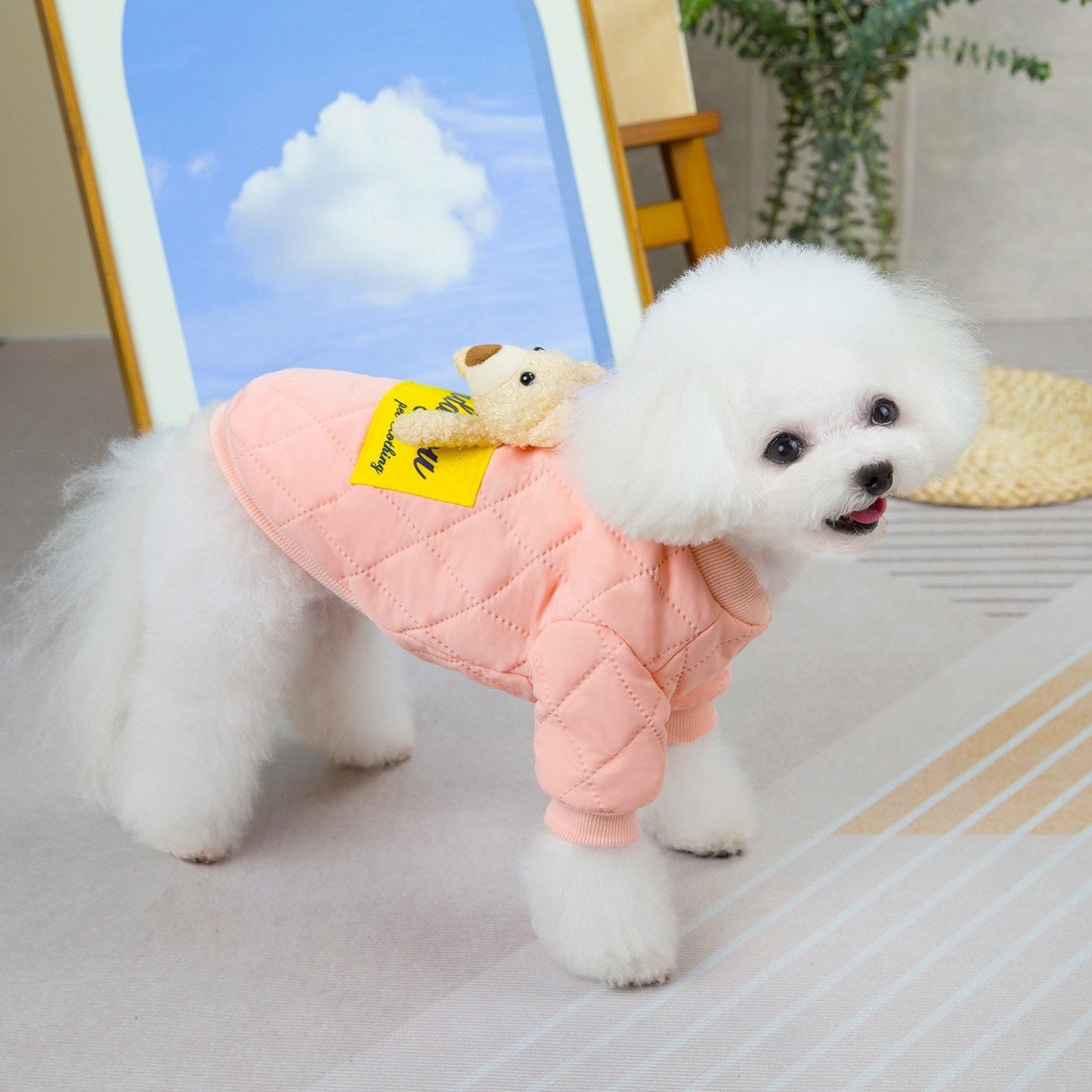 人気犬の服ペット服小型犬猫は秋と冬暖かい快適な超音波クマ綿コートを着ることができる