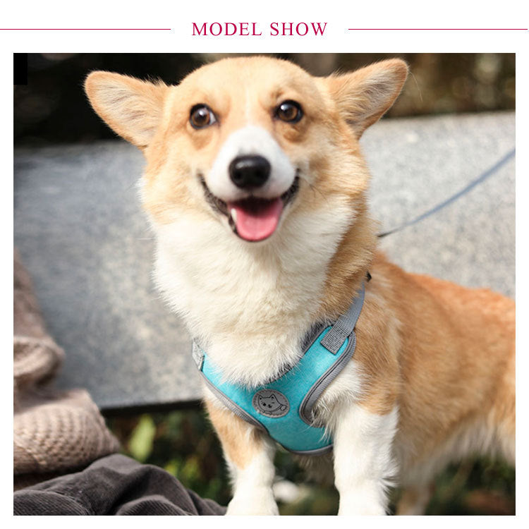 犬具 ハーネスリードセット 小型犬 ドッグ メッシュ ハーネスリード dog ベスト型 胴輪 犬用