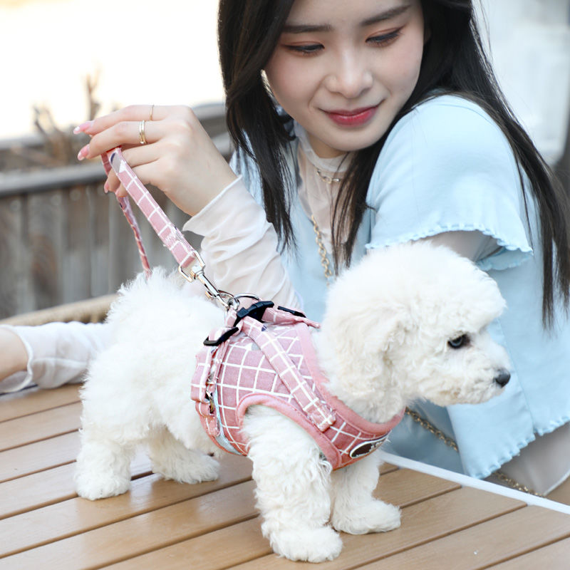背心式犬牽引紐テディ比熊小型犬胸背ドッグラン子犬チェーンペット用品