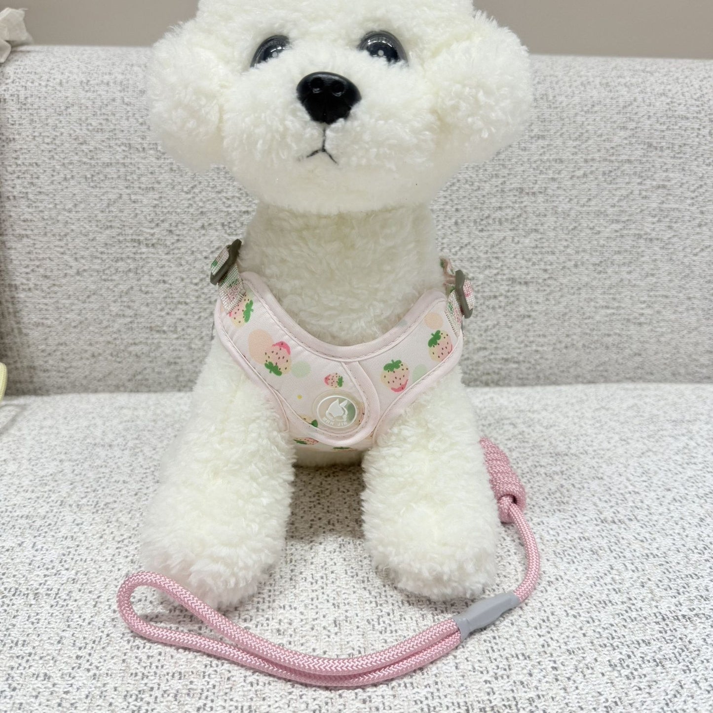 新型伸縮可能な通気性ペットの胸の牽引紐の小型犬は四季を通じて通用します