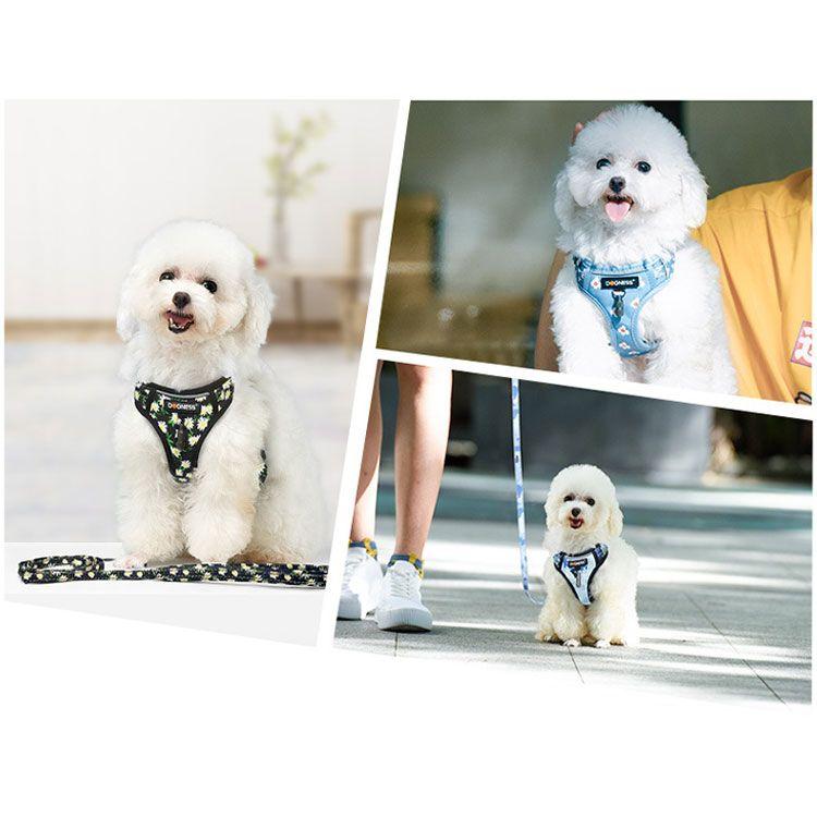 新商品プロモーション,数量限定 ハーネス 小型犬 ハーネス リード 2点セット ペット用品 全9種 ハーネスフリーサーズ 体重5kg以内 リード152cm バックルで簡単着脱 歩行補ハーネス 小型犬